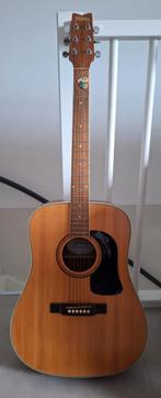 Washburn akoestische gitaar, Ophalen, Zo goed als nieuw, Western- of Steelstringgitaar