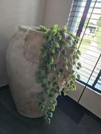 Waterkruik - vaas - kruikvaas - kruik - kerst - kerstboom, Huis en Inrichting, Woonaccessoires | Vazen, Ophalen, Nieuw, Overige kleuren