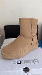 Dames laarsjes maat 38,39,40, Kleding | Dames, Schoenen, Blue Box, Pumps, Bruin, Nieuw