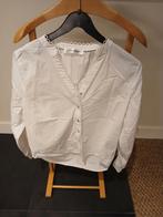 Co Couture dames blous., Kleding | Dames, Wit, Co Couture, Gedragen, Ophalen