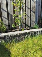 24 borderstenen - GRATIS op te halen, Tuin en Terras, Tegels en Klinkers, Ophalen, Beton, Klinkers