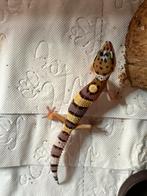 Luipaardgekko, Dieren en Toebehoren, Reptielen en Amfibieën, Hagedis, 0 tot 2 jaar