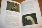 Vogelgebieden in Groningen, Boeken, Ophalen of Verzenden, Zo goed als nieuw, Vogels