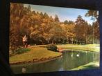 Oude Ansichtkaart Vijver met Zwanen. Stadsbos Assen, Verzamelen, Ansichtkaarten | Nederland, Ophalen of Verzenden, 1960 tot 1980