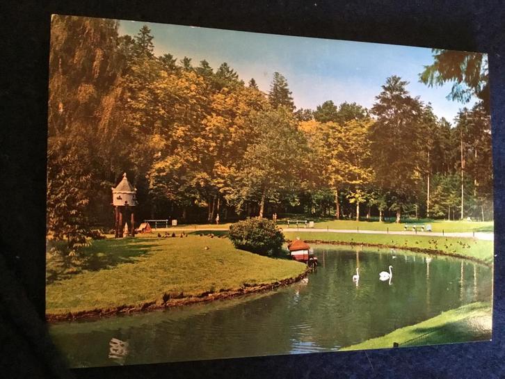 Oude Ansichtkaart Vijver met Zwanen. Stadsbos Assen, Verzamelen, Ansichtkaarten | Nederland, Gelopen, Drenthe, 1960 tot 1980, Ophalen of Verzenden