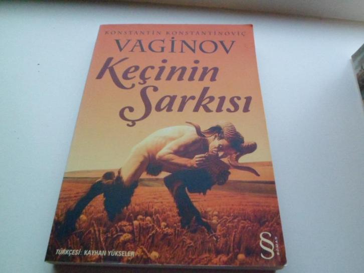 Kecinin Sarkisi - K. Vaginov ( Turkse uitgave ), Boeken, Romans, Gelezen, Ophalen of Verzenden