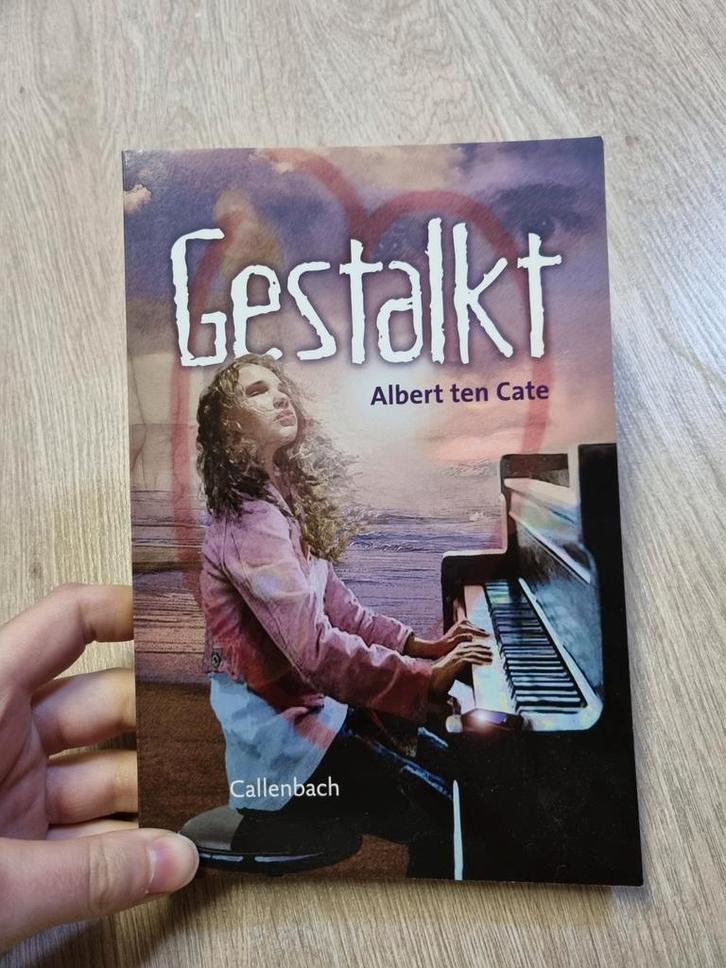 Albert ten Cate - Gestalkt, Boeken, Kinderboeken | Jeugd | 13 jaar en ouder, Zo goed als nieuw, Ophalen of Verzenden