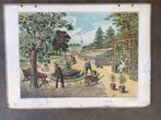 Antieke Schoolplaat - Tuin, Antiek en Kunst, Ophalen of Verzenden, Huis en Tuin