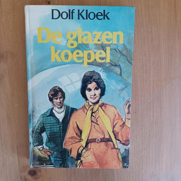 De glazen koepel, Boeken, Romans, Gelezen, Nederland, Ophalen of Verzenden