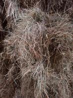 Hooi te koop runderen paarden schapen voeding, Ophalen