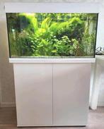Mooi compleet Juwel Rio 125 Led aquarium, Ophalen, Zo goed als nieuw, Gevuld zoetwateraquarium