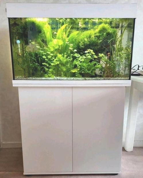 Mooi compleet Juwel Rio 125 Led aquarium, Dieren en Toebehoren, Vissen | Aquaria en Toebehoren, Zo goed als nieuw, Gevuld zoetwateraquarium
