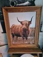 Schilderij Schotse hooglander, Verzenden, Nieuw, Hout