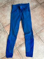 Paardrijdbroek, maat 34, merk QHP, kleur blauw, Dieren en Toebehoren, Ophalen of Verzenden, Gebruikt