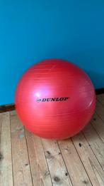 Pilates bal 50 cm, Zo goed als nieuw, Ophalen