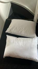 * nieuw* 2 hoofdkussens van de valk, Ophalen of Verzenden, Zo goed als nieuw, Eenpersoons, Wit