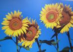 Zonnebloemen op blauwe lucht, Verzenden, 1960 tot 1980, Gelopen, Natuur