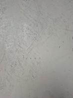 Catalogus 1982, Ophalen of Verzenden, Gelezen, Catalogus