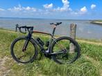Ridley NoahFast, Fietsen en Brommers, Minder dan 10 versnellingen, Carbon, Heren, Ophalen