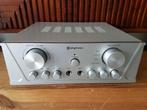 Skytronic Karaoke 100watt + 2 Mic - Cafe,thuis & camping, Ophalen of Verzenden, Zo goed als nieuw
