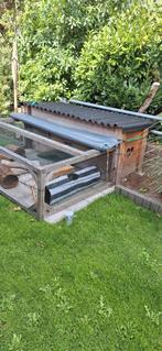 Cavia/konijn buitenverblijf  geen dieren, Maart, Meerdere dieren