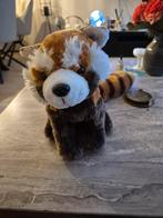 Wasbeer knuffel, Ophalen of Verzenden