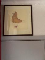 Te koop gevraagd, Dieren en Toebehoren, Meerdere dieren