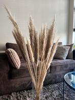 Pampas pluimen, Ophalen, Zo goed als nieuw