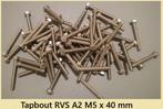 Nieuwe RVS A2 tapbouten M5x30, M5x40, M5x50. € 0,10, Watersport en Boten, Verzenden, Nieuw, Overige typen
