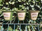 Vintage West Germany keramiek bloempotten groen 14 cm, Tuin en Terras, Bloempotten, Gebruikt, Rond, Ophalen of Verzenden, Minder dan 25 cm