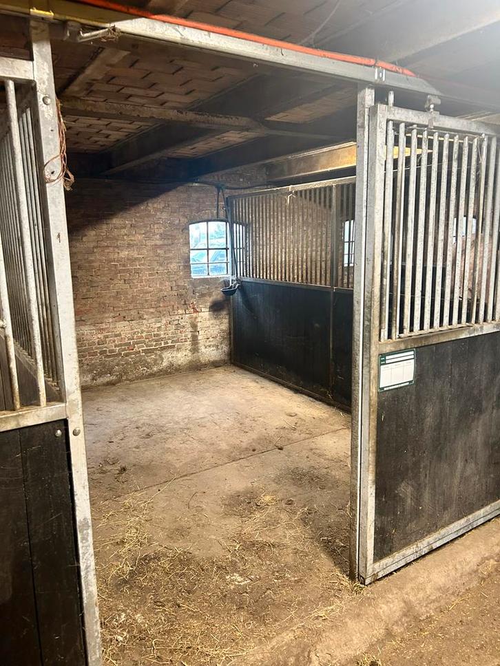 Stalling aangeboden, Dieren en Toebehoren, Stalling en Weidegang, Stalling, Weidegang, Toebehoren, 4 paarden of pony's of meer