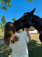 Verzorger aangeboden, Dieren en Toebehoren, Paarden en Pony's | Verzorgingsproducten, Ophalen of Verzenden, Nieuw