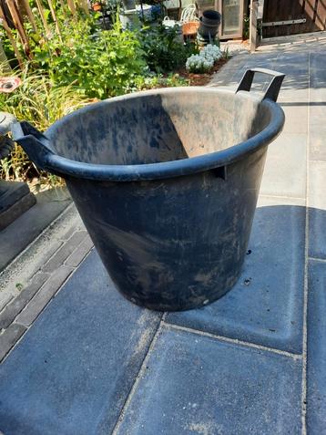 Plant of boom container/kuip beschikbaar voor biedingen