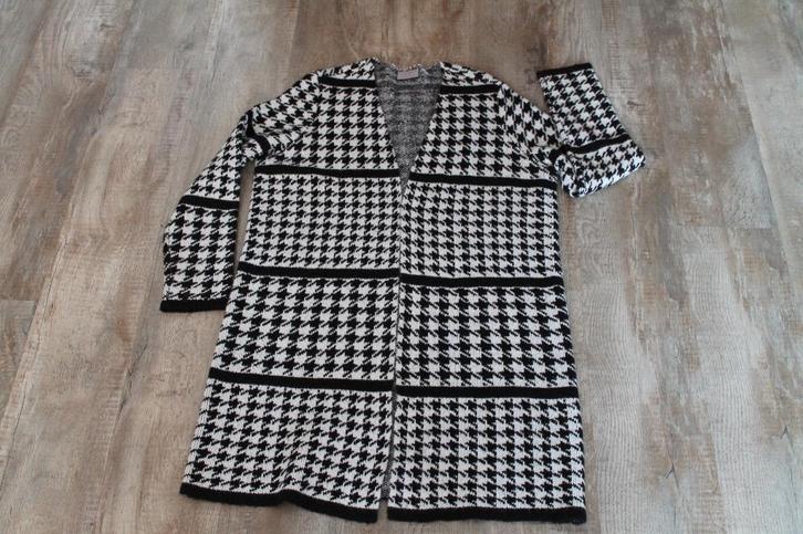 Prachtig en Fraai vest voor een dame, Kleding | Dames, Truien en Vesten, Zo goed als nieuw, Maat 38/40 (M), Zwart, Ophalen of Verzenden