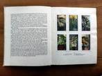 VERKADE Kamerplanten (A.J. van Laren) plaatjesboek 1928, Ophalen of Verzenden, Gebruikt