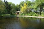 Huisje Veluwe Otterlo Natuurhuisje Vijver Bos Hond is welkom, Tv, In bos, Landelijk, Gelderland en Veluwe
