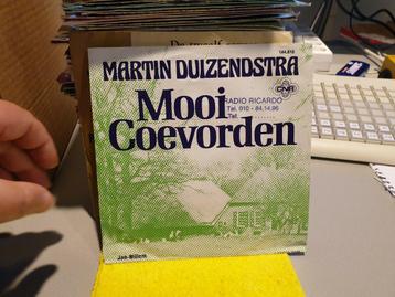 Martin Duizendstra - Mooi Coevorden (f6) beschikbaar voor biedingen