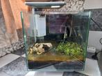 Vierkant aquarium 32 x 32 x 42 hoog met alles, Ophalen, Zo goed als nieuw, Leeg aquarium