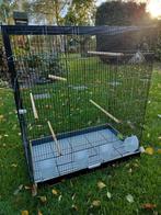 Vogelkooi ( groot ), Dieren en Toebehoren, Vogels | Hokken en Kooien, Ophalen, Gebruikt, Metaal, Vogelkooi