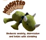 Dino Verzwaringsknuffel - 500 gram, Ophalen of Verzenden, Nieuw, Overige typen