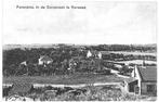 700239 Renesse Zeeland 1928 Panorama Duinstreek Gel