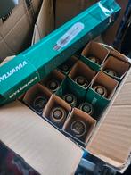 Kweeklampen compleet,lampen set, trafo, bulp 600 w, Ophalen, Zo goed als nieuw