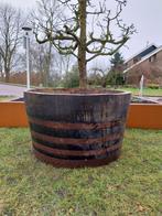 Zeer Grote Bloembak Whiskeyvat 250 liter, Ophalen, Kunststof, Rond, Nieuw