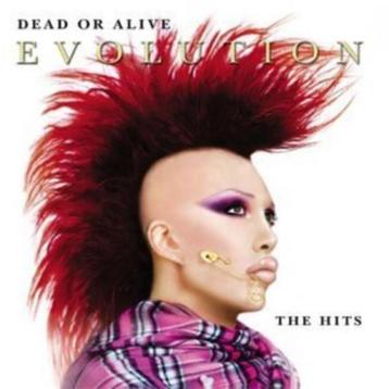 Dead or Alive zeldzame dvd Evolution the video's the hites beschikbaar voor biedingen