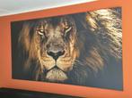 Metalen wanddecoratie Leeuw – 180 x 100 cm, Ophalen, Zo goed als nieuw