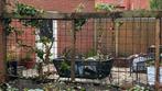 Betongaas 2 stuks, 150x180 cm ieder, Tuin en Terras, Schuttingen, Ophalen, Minder dan 3 meter, IJzer, 1 tot 2 meter