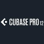 Cubase Pro 12 Windows/Mac | Permanent | Licentie | Activatie, Zo goed als nieuw, Windows, Verzenden