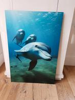 Dolfijnen print op hardboard 90 x 60 cm gratis, Print, Gebruikt, 50 tot 75 cm, Ophalen