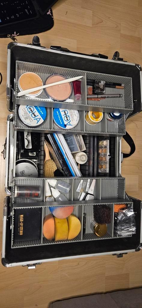 Koffer met professionele SFX make up, Sieraden, Tassen en Uiterlijk, Uiterlijk | Cosmetica en Make-up, Ophalen of Verzenden