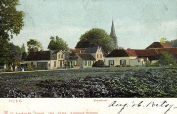 Hees - Breestraat - 1906 gelopen beschikbaar voor biedingen